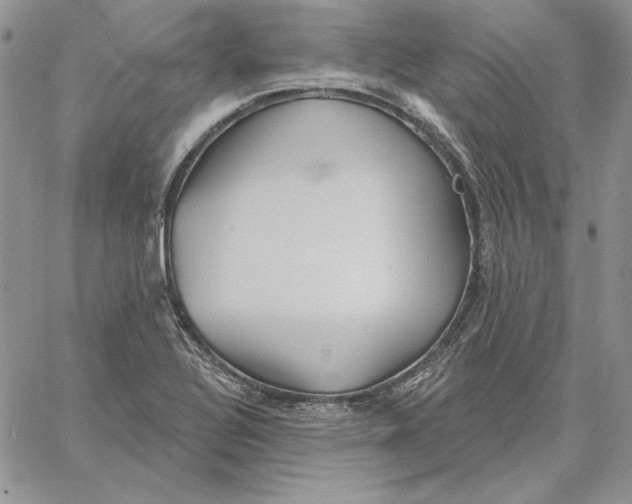 X0000060581320200511241331