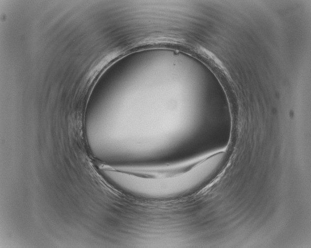 X0000060581321200511241331