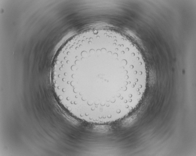 X0000060581322200511241331