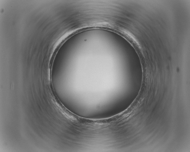 X0000060581324200511241331