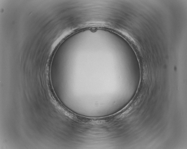 X0000060581325200511241331