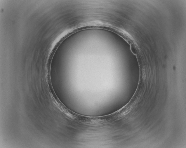 X0000060581326200511241331