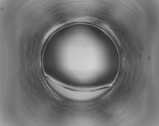 X0000060581328200511241331