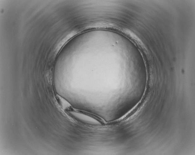 X0000060581329200511241331