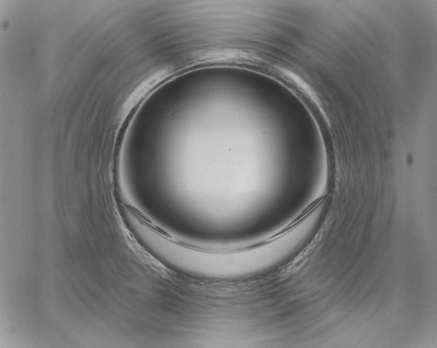 X0000060581330200511241331