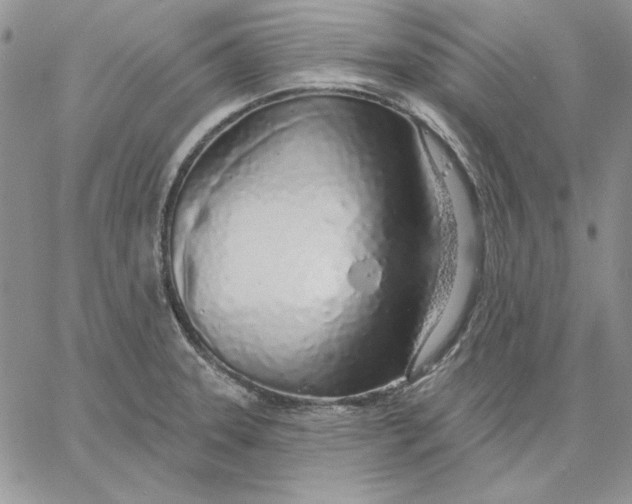 X0000060581331200511241331