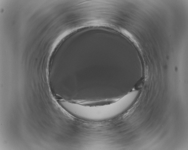 X0000060581334200511241331