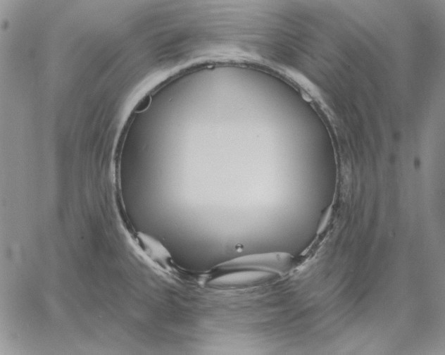 X0000060581335200511241331