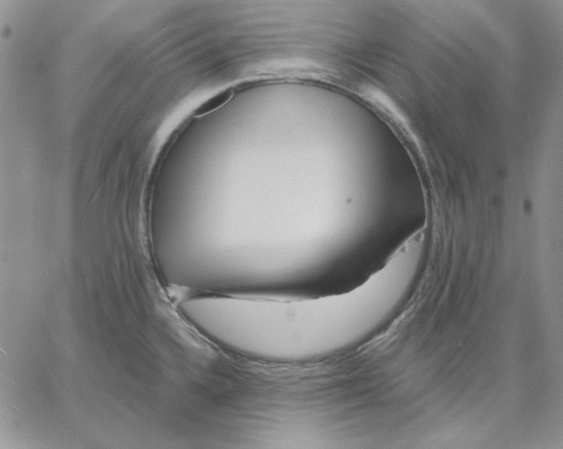 X0000060581336200511241331