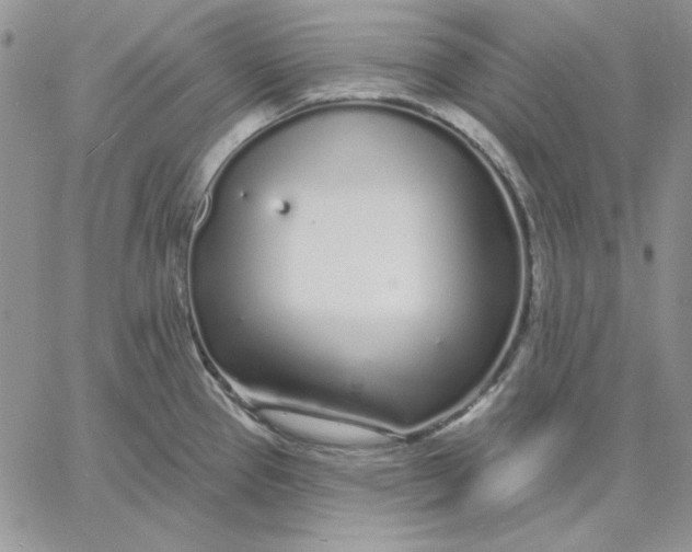 X0000060581337200511241331