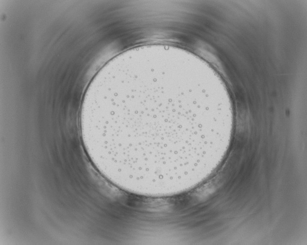 X0000060581338200511241332