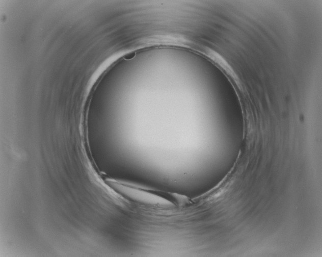 X0000060581339200511241332