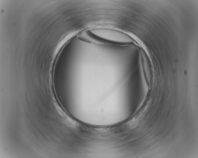 X0000060581341200511241332