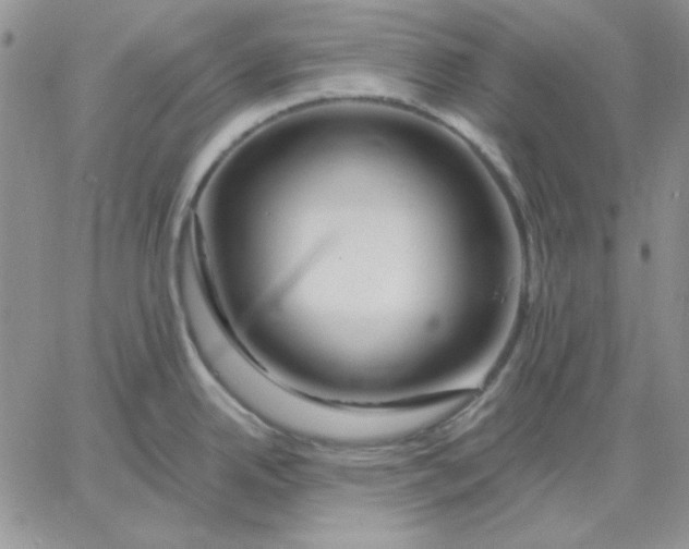 X0000060581342200511241332