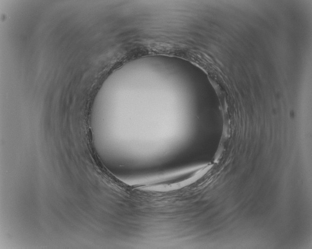 X0000060581345200511241331