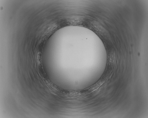 X0000060581346200511241331