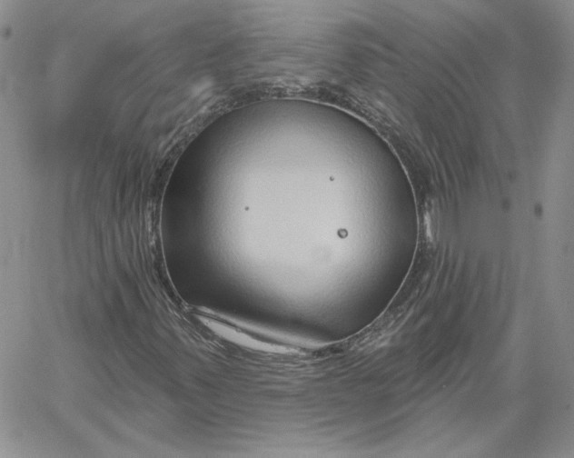 X0000060581347200511241331