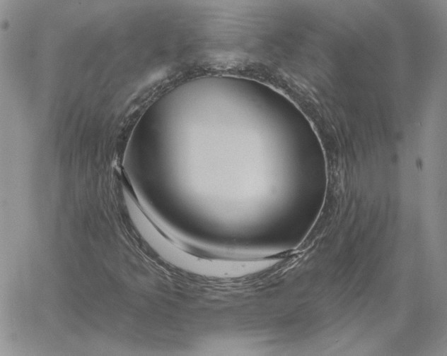 X0000060581349200511241331