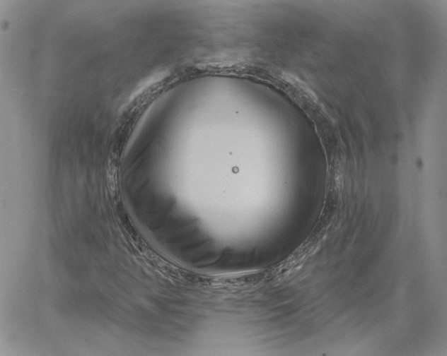 X0000060581350200511241331