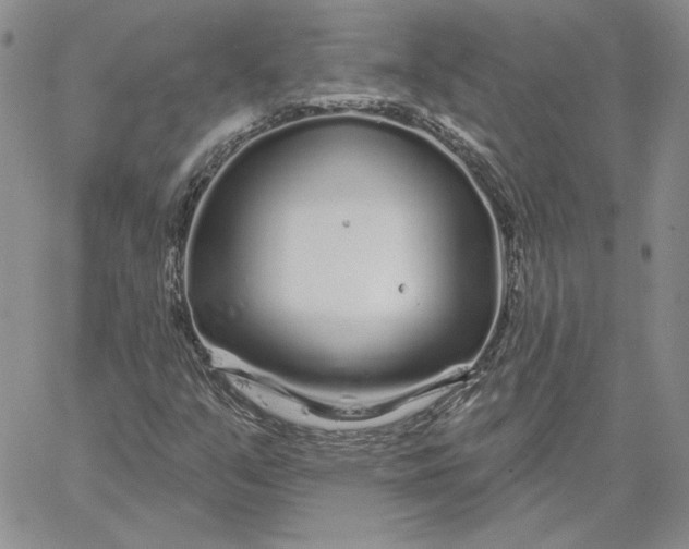 X0000060581351200511241331