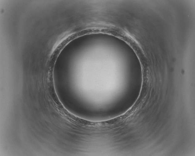 X0000060581352200511241331