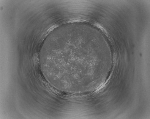 X0000060581353200511241331