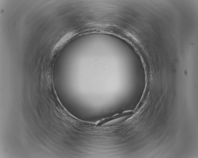 X0000060581354200511241331