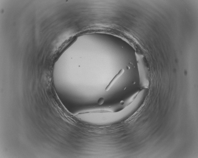 X0000060581355200511241331