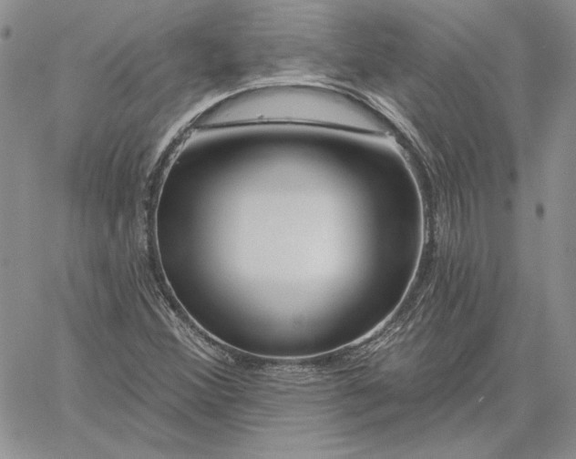 X0000060581356200511241331