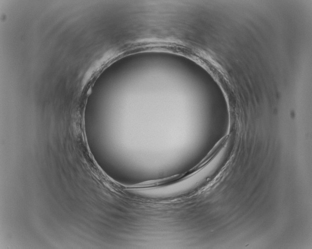 X0000060581357200511241331