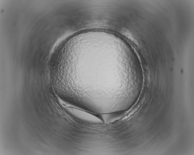 X0000060581358200511241331