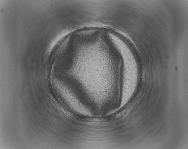 X0000060581359200511241331