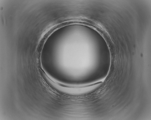 X0000060581360200511241331