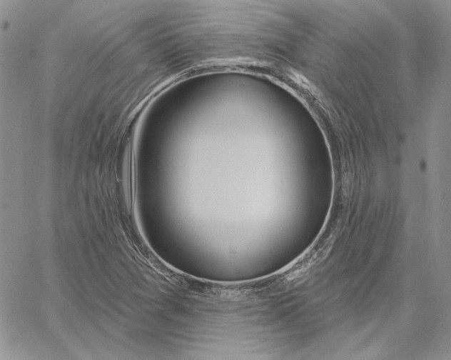 X0000060581361200511241331