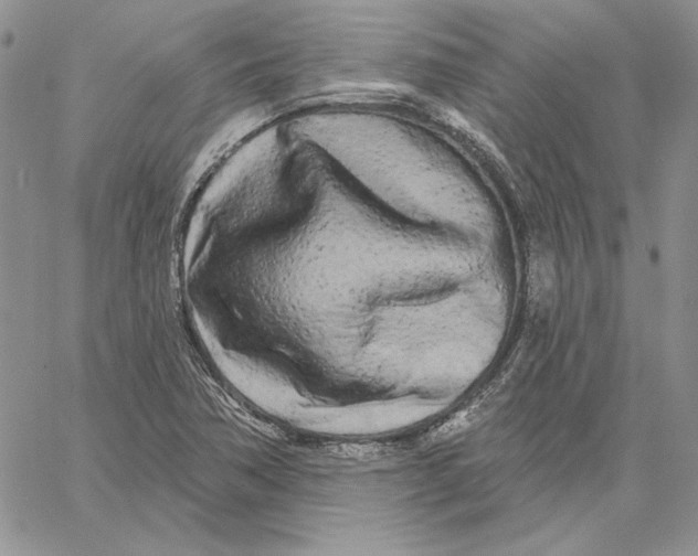 X0000060581362200511241331