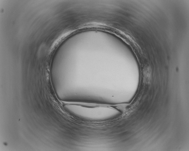 X0000060581363200511241331