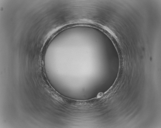 X0000060581364200511241331