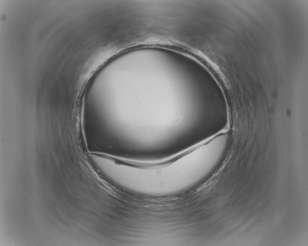 X0000060581367200511241330