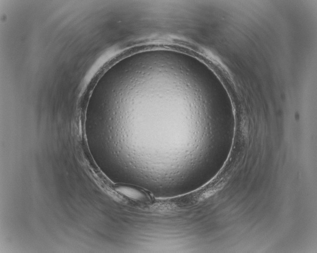 X0000060581368200511241330