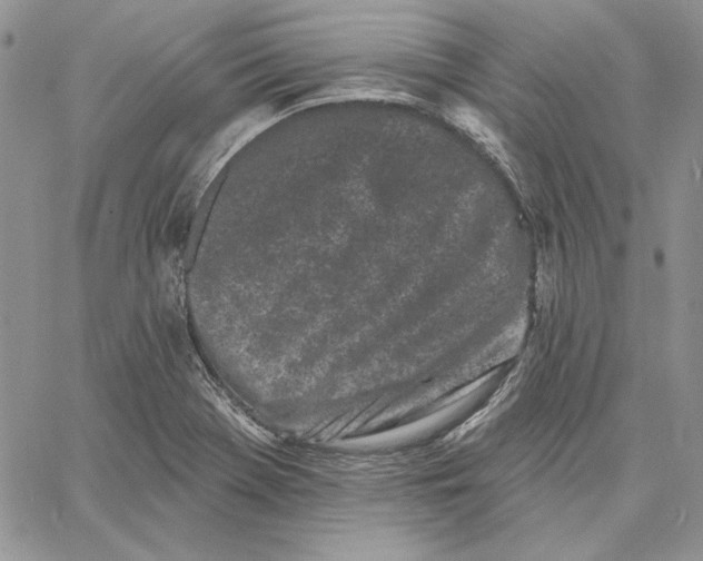 X0000060581369200511241330