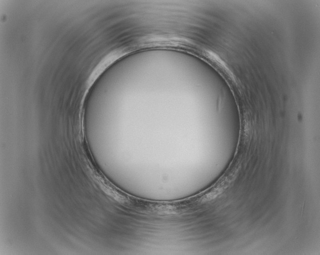 X0000060581370200511241330