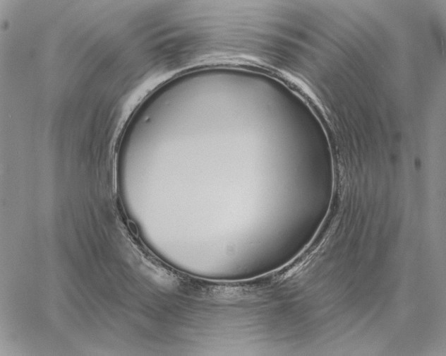 X0000060581371200511241330