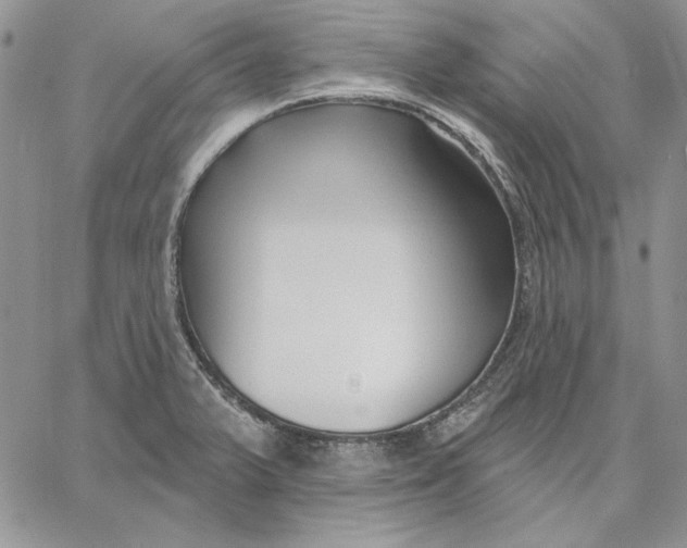 X0000060581375200511241330