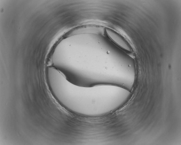 X0000060581376200511241330