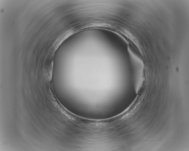 X0000060581377200511241330