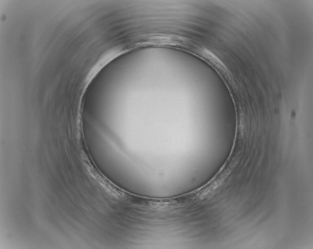 X0000060581378200511241330