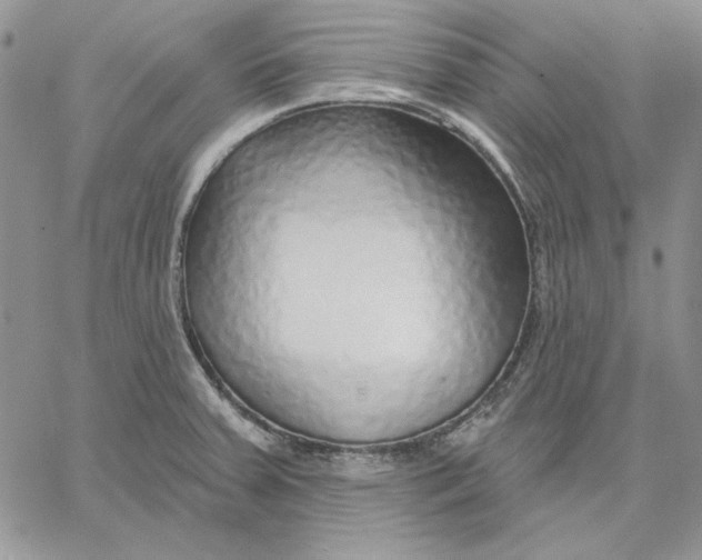 X0000060581379200511241330