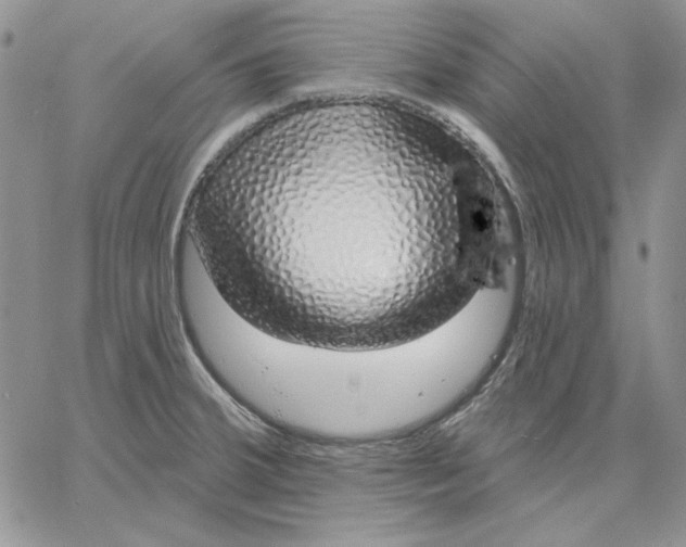 X0000060581380200511241330