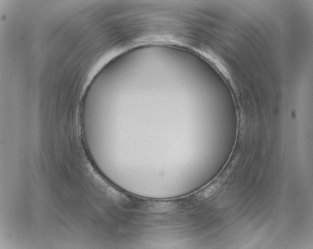 X0000060581382200511241330