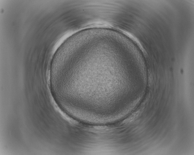 X0000060581383200511241330